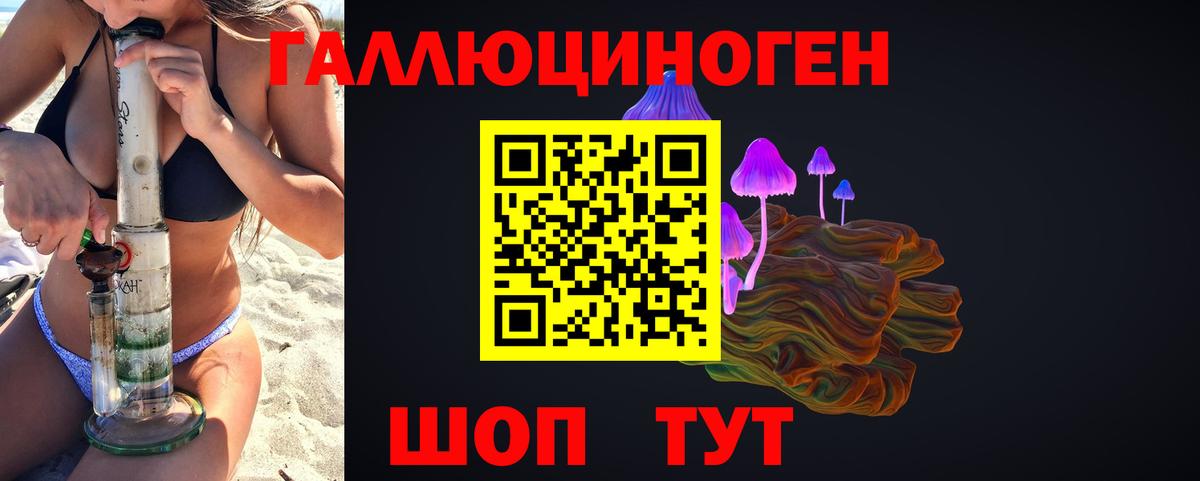 Курск  Галлюциногенные грибы прущие грибы  Вход с VPN 